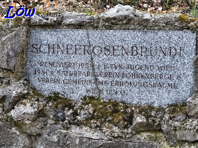 5.3.2026 - Schneerosenbr&uuml;ndl